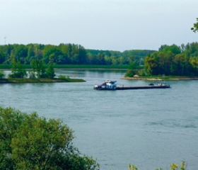 rhein.jpg